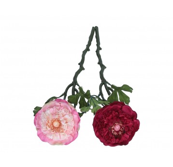 Pełnik na łodydze do kompozycji mix kol.38cm