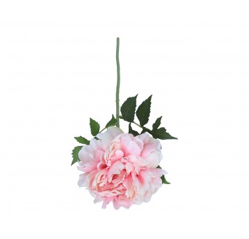 Peonia j różowa na łodydze 56cm
