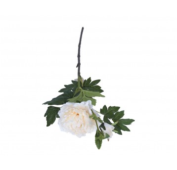 Peonia kremowa z pąkiem 65cm