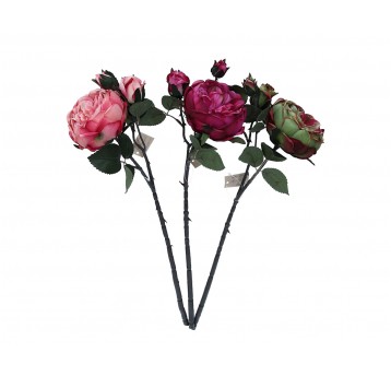 Peonia z pąkiem na łodydze mix 3 kol.67cm