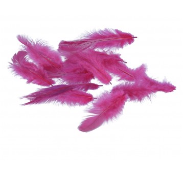 Pióra amarantowo-fiolet róźne rozmiary 10cm/4cm