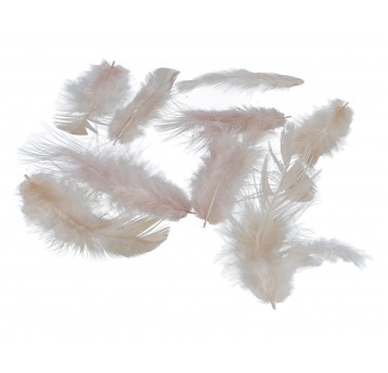 Pióra beżowe 1 op.=10g l 1-10cm d 1-4cm