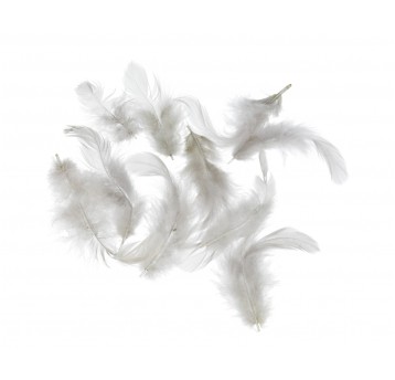 Pióra beżowe różne rozmiary 10cm/4cm