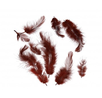 Pióra brązowe róźne rozmiary 10cm/4cm