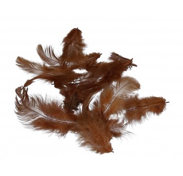 Pióra brązowe rózne rozmiary 10cm/4cm