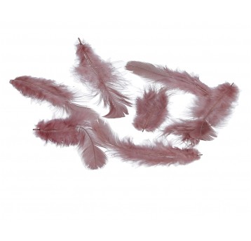 Pióra c.beżowe różne rozmiary 10cm/4cm