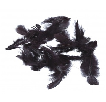 Pióra c. brązowe róźne roz. 10cm/4cm