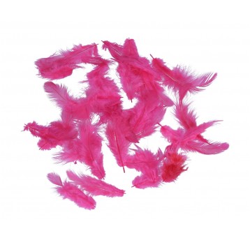 Pióra c.malinowe róźne roz. 10cm/4cm