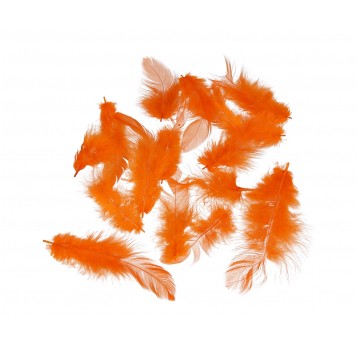 Pióra c. pomarańczowe rózne roz. 10cm/4cm