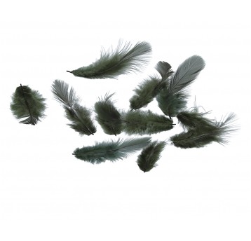 Pióra c zielone róźne rozmiary 10cm/4cm