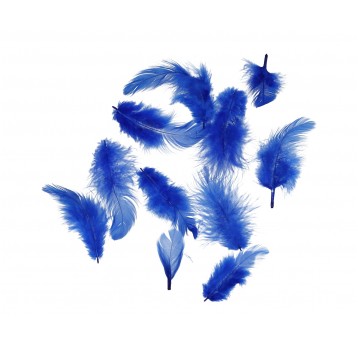 Pióra chabrowe róźne rozmiary 10cm/4cm