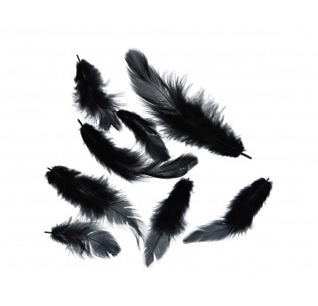 Pióra czarne róźne rozmiary 10cm/4cm