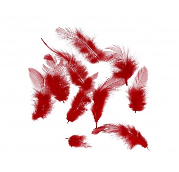Pióra czerwone rózne rozmiary 1op=10g 10cm/4cm