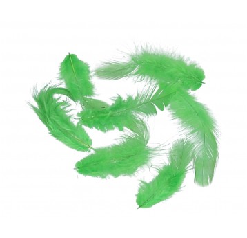 Pióra j.zielone róźne rozmiary 10cm/4cm