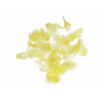 Pióra j.żółte róźne rozmiary 10cm/4cm