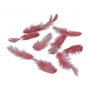 Pióra kakaowo-różowe róźne roz 10cm/4cm