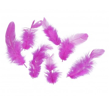 Pióra kol.biskupi rózne rozmiary 1op=10g 10cm/4cm