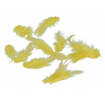 Pióra żółte róźne rozmiary 10cm/4cm