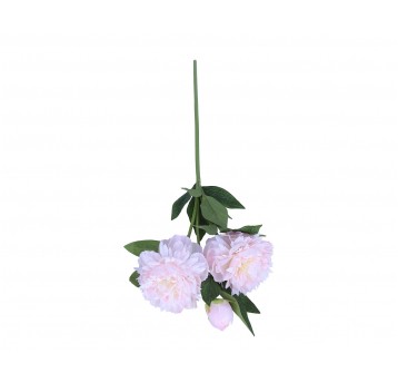 Piwonia j róźowa na łodydze 70cm