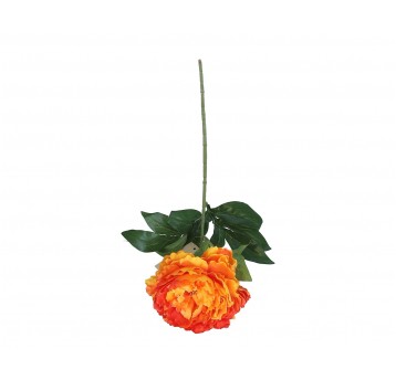 Piwonia pomaranczowa na łodydze 68cm