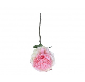 Piwonia róźowa na łodydze 68cm