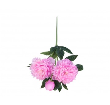 Piwonia róźowa na łodydze 70cm