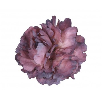 Piwonia wyrobowa fioletowo-bordowa śr 10cm