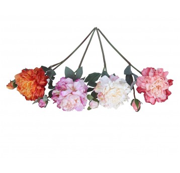 Piwonia z pąkiem na łodydze mix 4 kol. 60cm