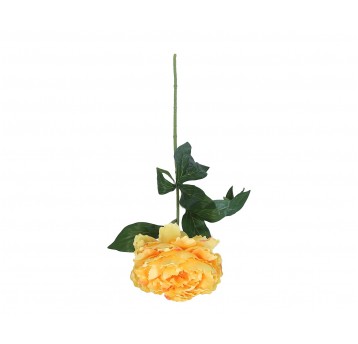 Piwonia źółta na łodydze 68cm