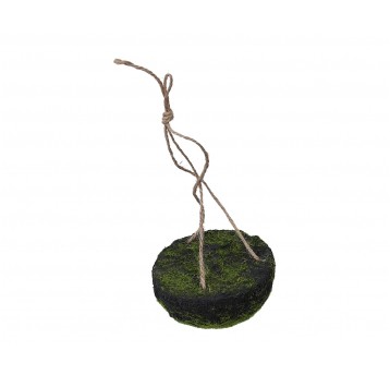 Pólkula zawieszka do kompozycji ziel. śr10cm h5cm