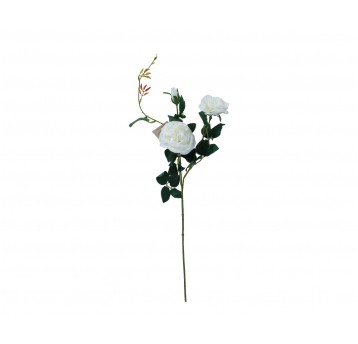 Róza biala z pączkami 75cm
