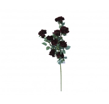Róża c.bordo na łodydze 11 kwiatów 120cm