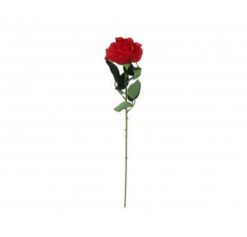 Róża czerwona na łodydze 62cm