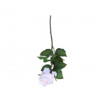 Róźa j róźowa na łodydze 53cm