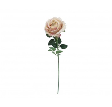 Róźa łososiowo-róźowa na łodydze 66cm
