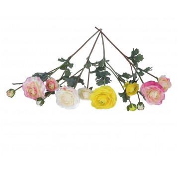 Róża pełnik na łodydze mix 4 kol.60cm