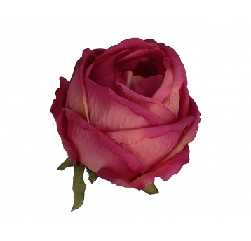 Róza wyrob. amarantowo-rózowa op=12szt h 7cm śr8cm