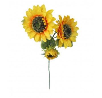 Słonecznik 3 kwiaty 90 cm