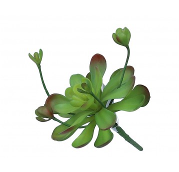 Sukulent j zielony na łodydze 20cm