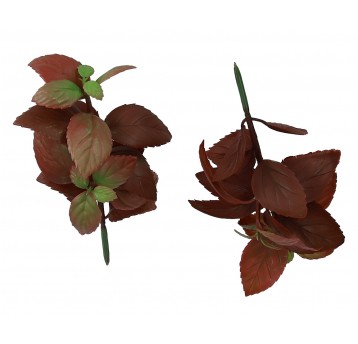 Sukulent -liście mięty bordowo-zielony 22cm