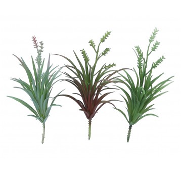 Sukulent mix 3 kol na łodydze 26cm