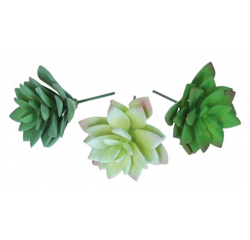 Sukulent ozdobny do kompozycji 10cm mix kol.