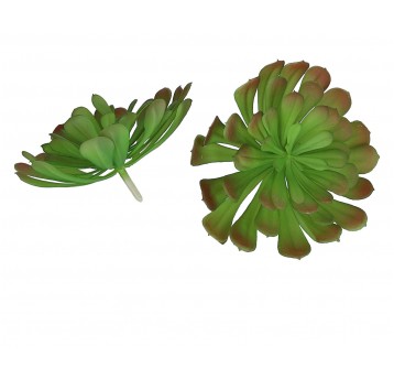 Sukulent ozdobny zielony na piku 10cm/13cm