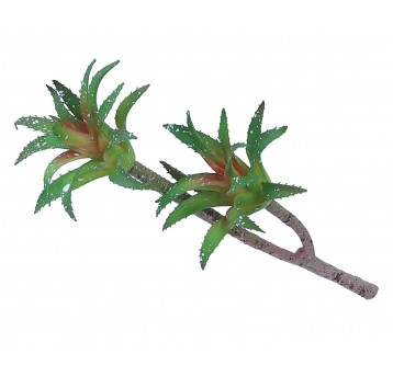 Sukulent zielono-bordowy 33cm