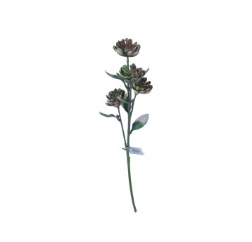 Sukulent zielono-bordowy na łodydze 66cm