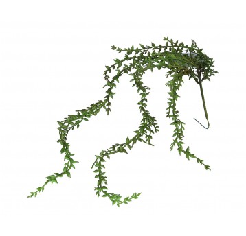 Trawa ozdobna pnącza zielone 60cm op=6 szt