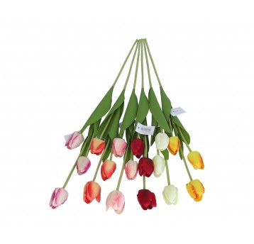 Tulipan na łodydze mix 6 kol. 66cm