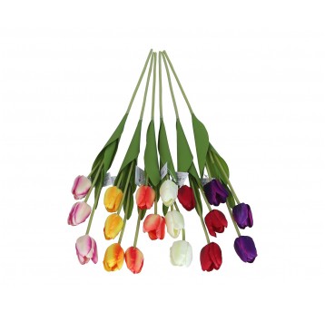 Tulipan na łodydze mix 6 kol. 66cm