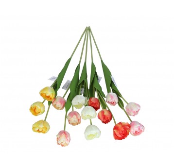 Tulipan na łodydze mix 6 kol.67cm