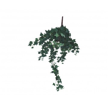 Zwis bluszczu ciemnozielonego 76cm